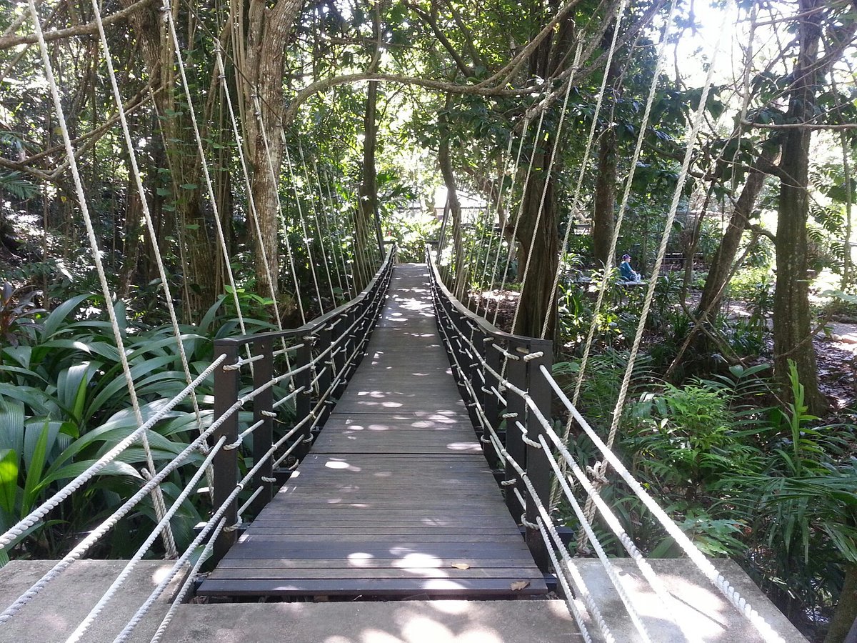 admisión al parque ecológico kula que incluye toboganes acuáticos ilimitados en la jungla